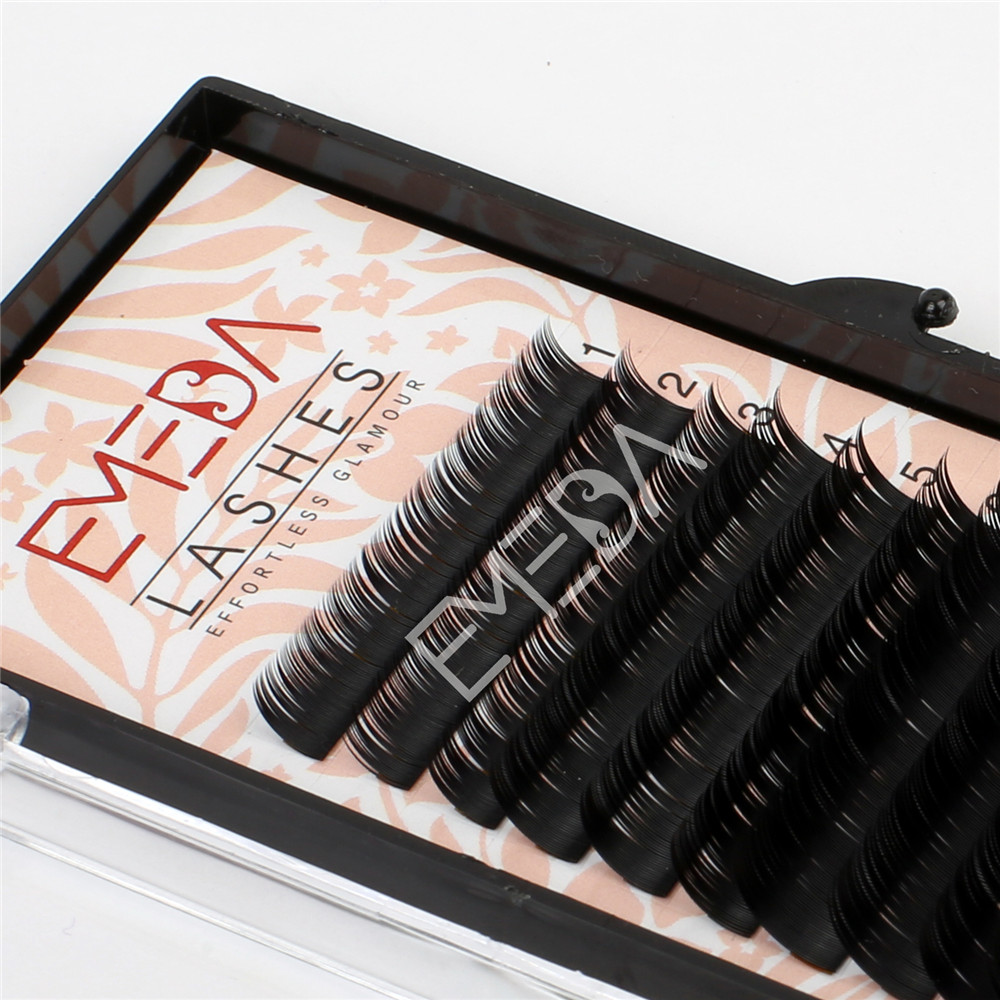 Eyelash Extension Offers EL41